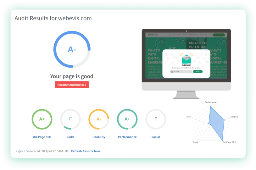 Audit Result